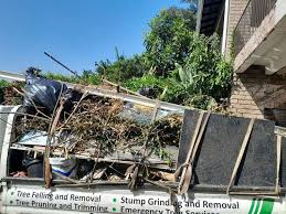Best Yard Waste Removal  in Sheridan, IN
